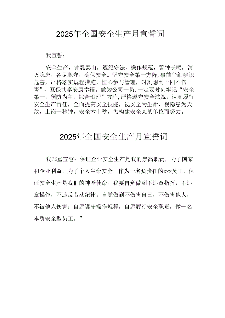2025年全国《安全生产月》动员会宣誓词.docx_第2页