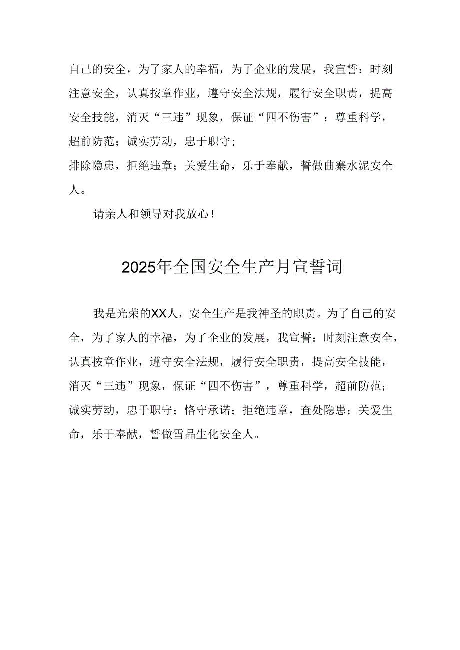 2025年全国《安全生产月》动员会宣誓词 （汇编4份）.docx_第2页