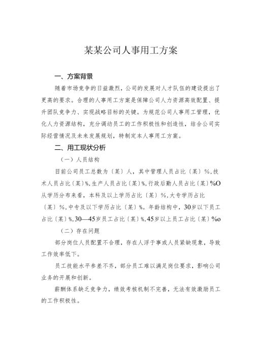 某某公司人事用工方案.docx