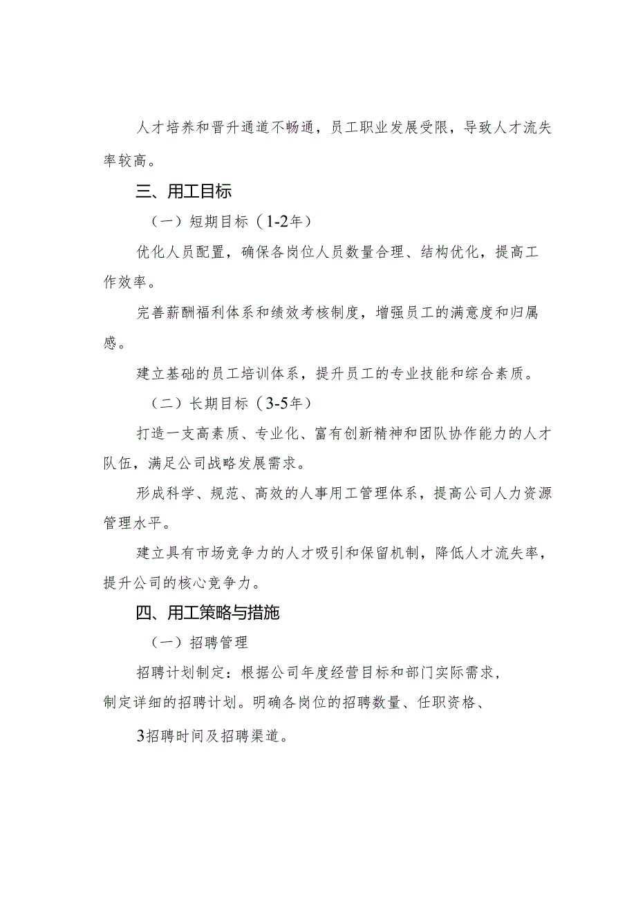 某某公司人事用工方案.docx_第2页