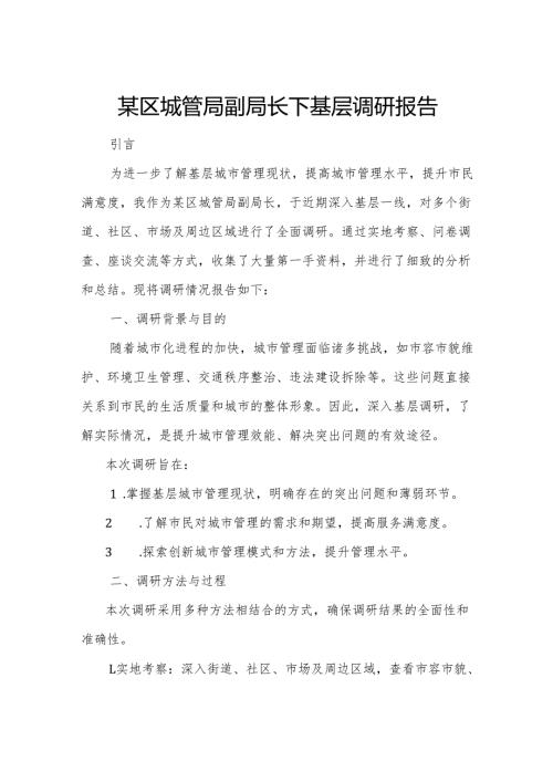 某区城管局副局长下基层调研报告.docx