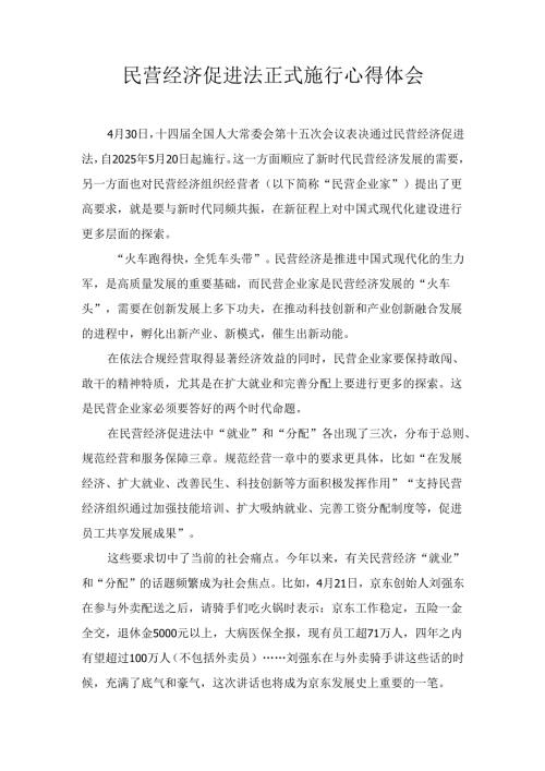 民营经济促进法正式施行心得体会.docx