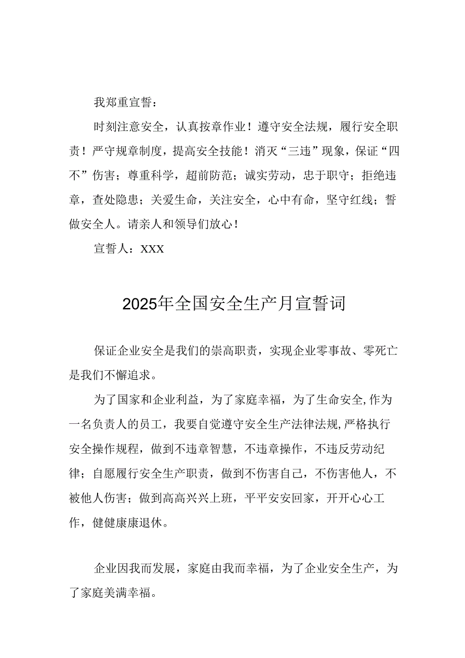 2025年全国安全生产月个人宣誓词 汇编9份.docx_第3页