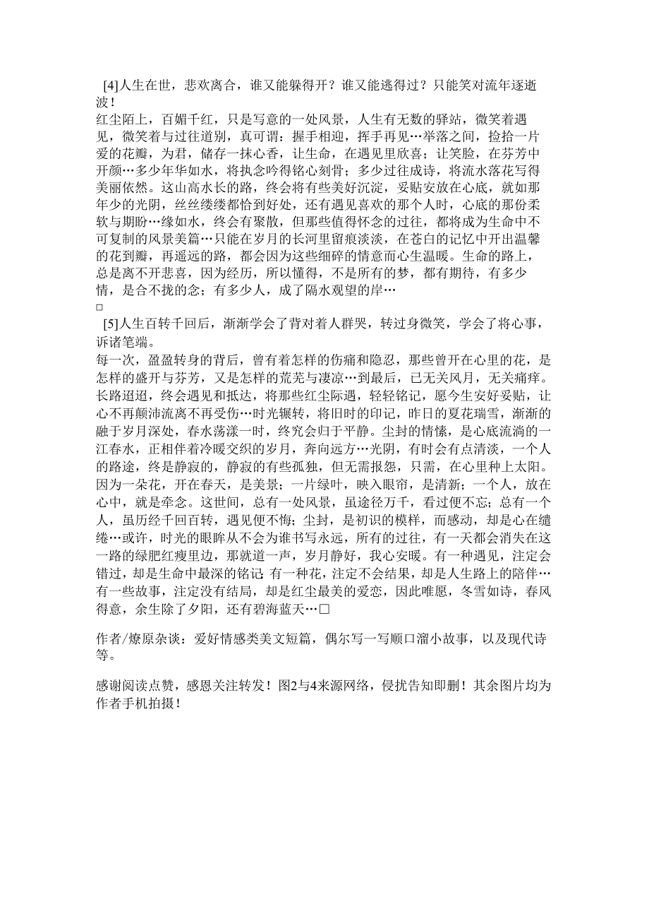 描写春天的短篇美文(形容柳树的诗句).docx_第2页