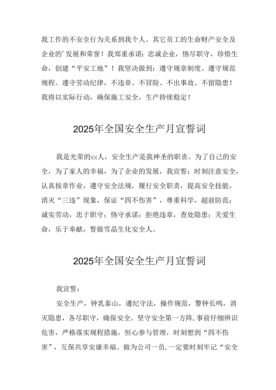 2025年全国《安全生产月》动员会宣誓词 汇编9份.docx_第2页