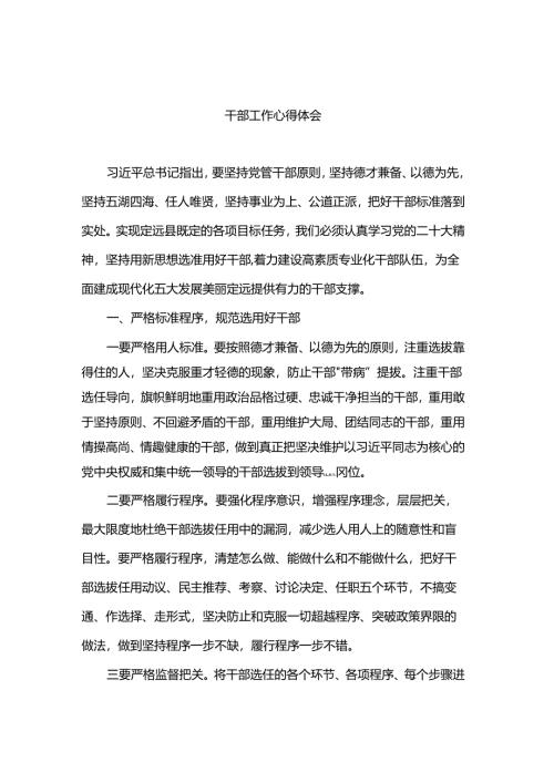 干部工作心得体会.docx