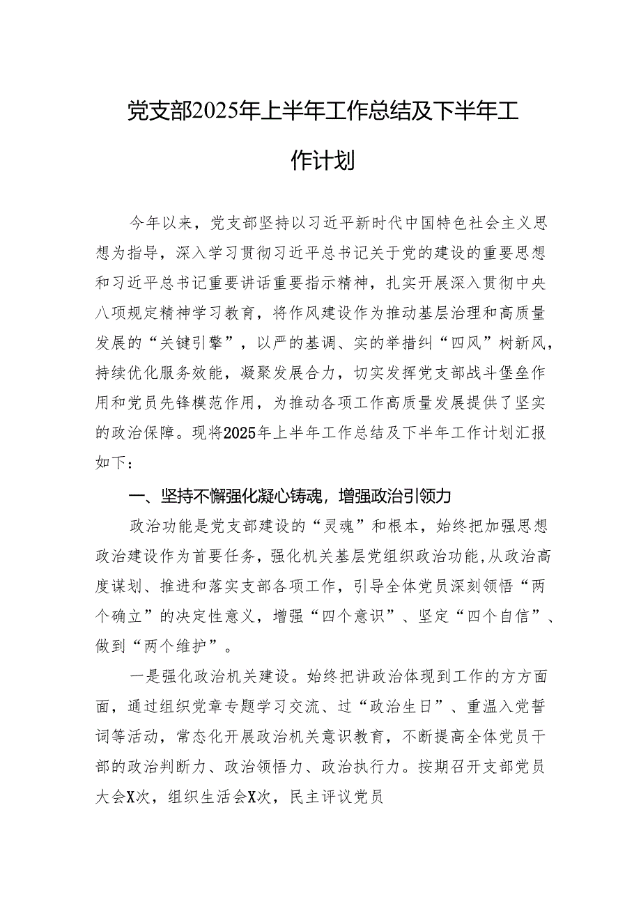 党支部2025年上半年工作总结及下半年工作计划材料.docx_第1页