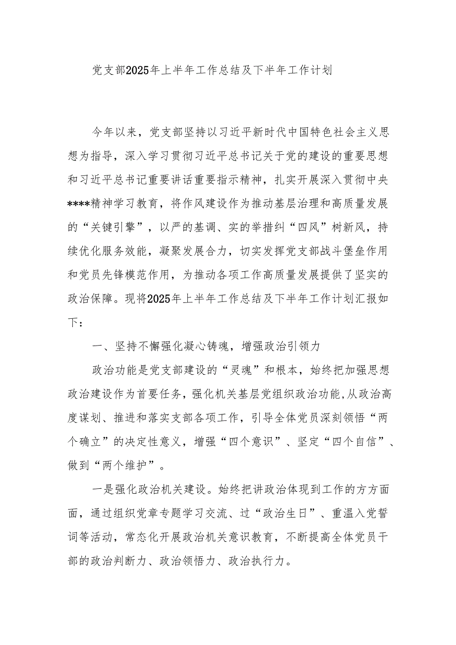 党支部2025年上半年工作总结及下半年工作计划2篇.docx_第2页