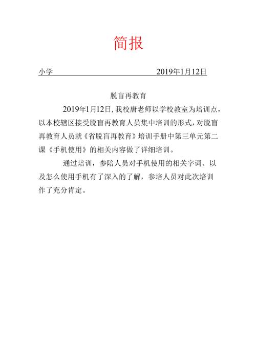 学校脱盲教育工作简报.docx