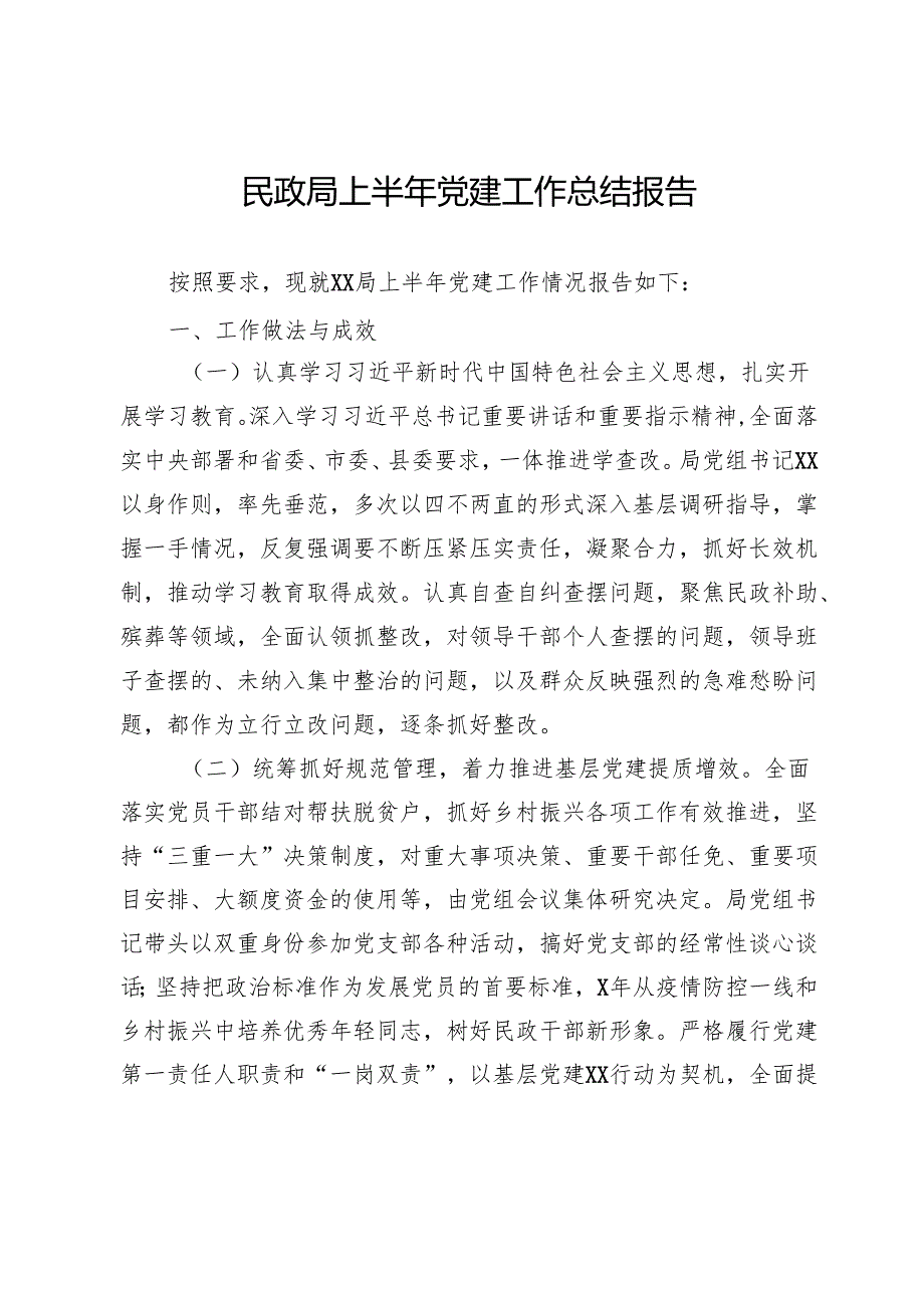 民政局2025年上半年党建工作总结报告.docx_第1页