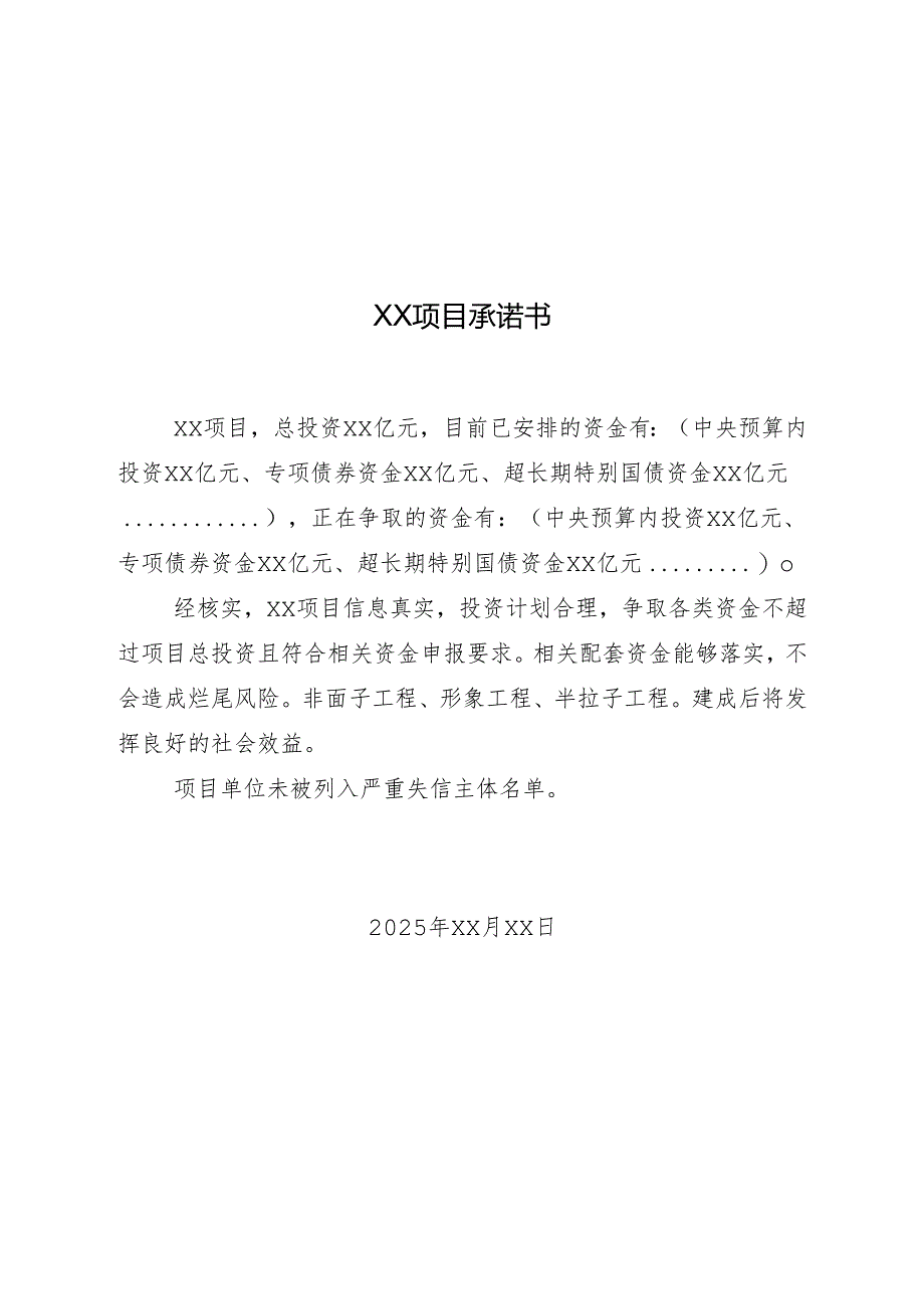 某项目承诺书.docx_第1页