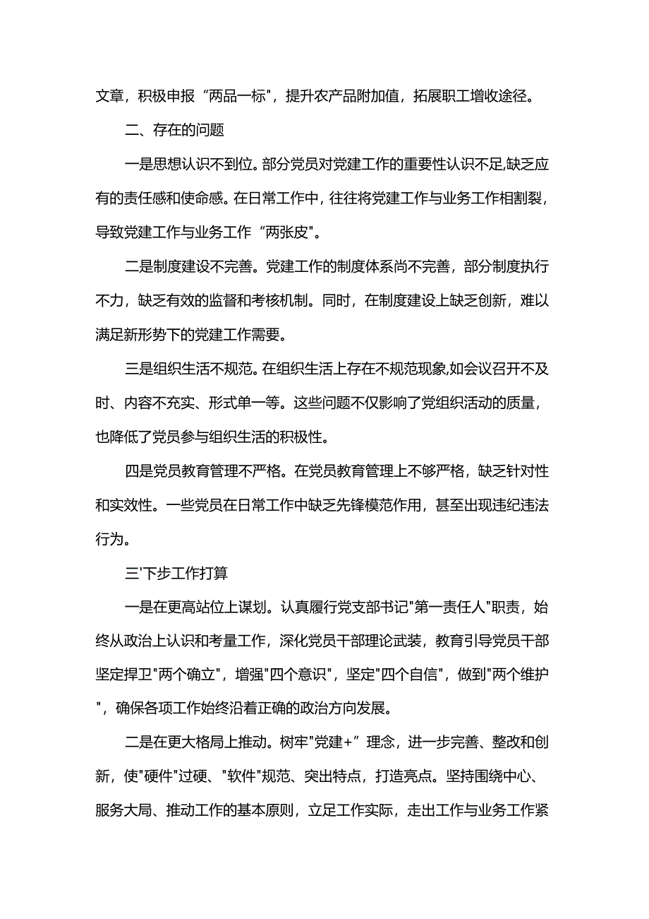 党支部书记抓党建问题整改半年总结.docx_第3页