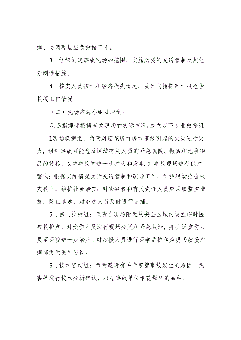 镇烟花爆竹安全事故专项应急预案.docx_第3页