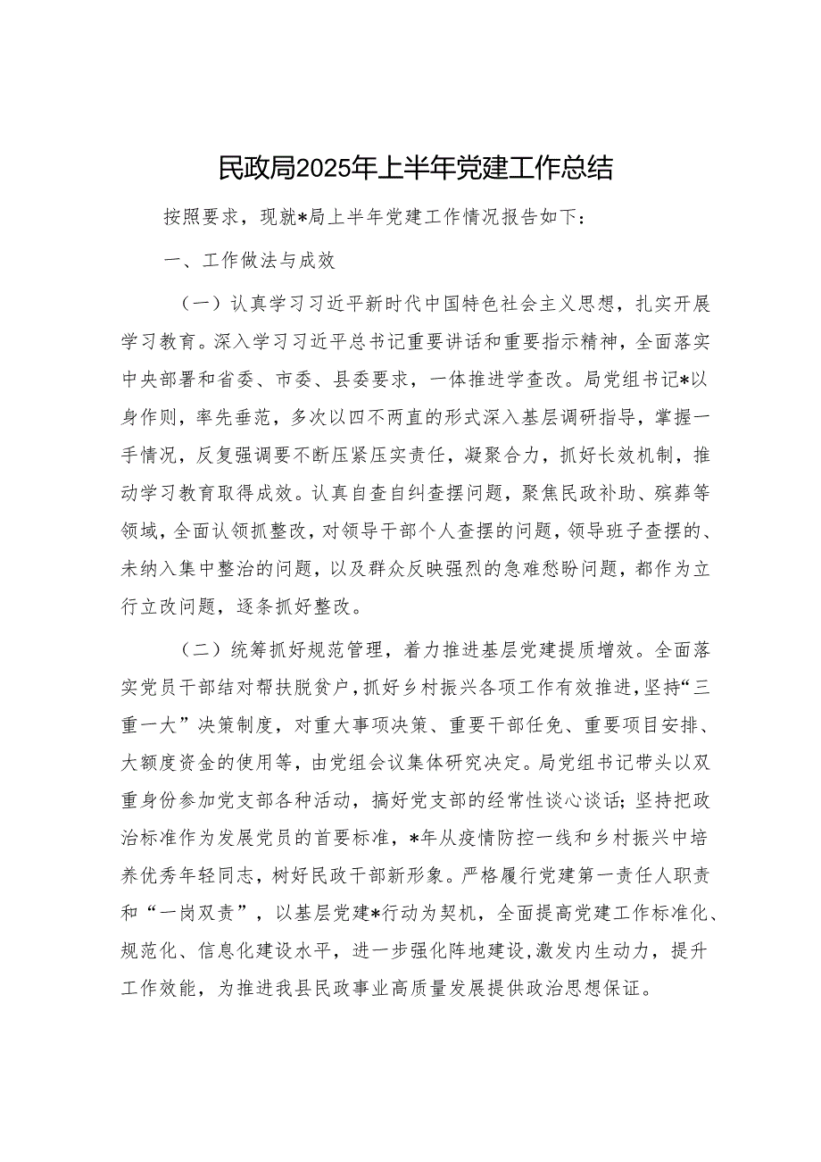 民政局2025年上半年党建工作总结.docx_第1页