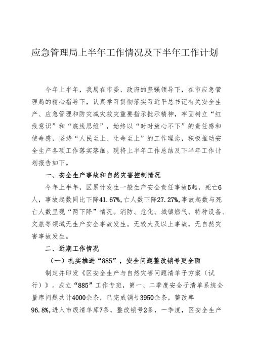 应急管理局上半年工作情况及下半年工作计划.docx