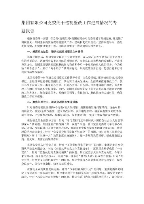 集团有限公司党委关于巡视整改工作进展情况的专题报告.docx