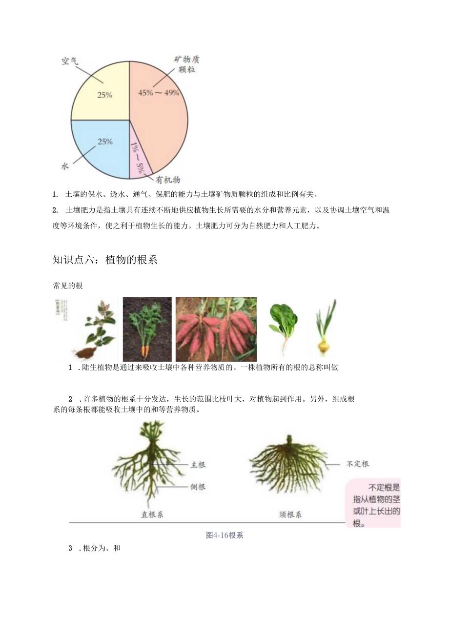 2025浙教版八年级科学下册第四章植物与土壤知识清单及易错点.docx_第3页