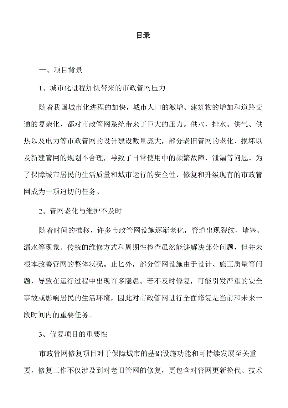 市政管网修复项目可行性分析报告.docx_第2页