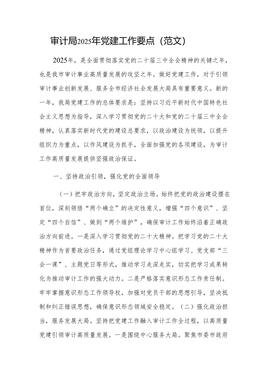审计局2025年党建工作要点（范文）.docx_第1页