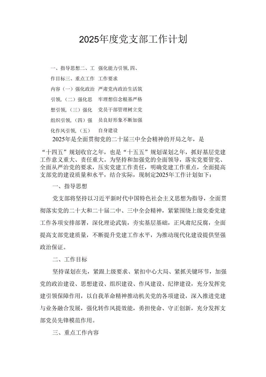 （2025年）度党支部工作计划.docx_第1页