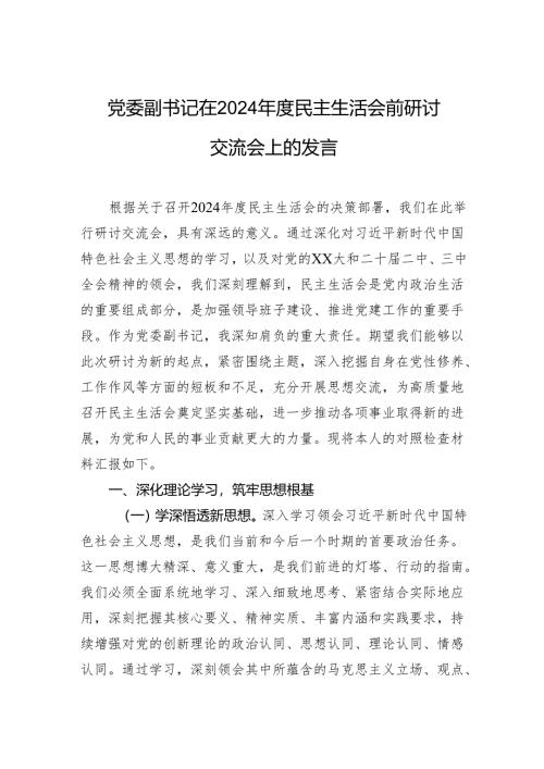 党委副书记在2024年度民主生活会前研讨交流会上的发言.docx