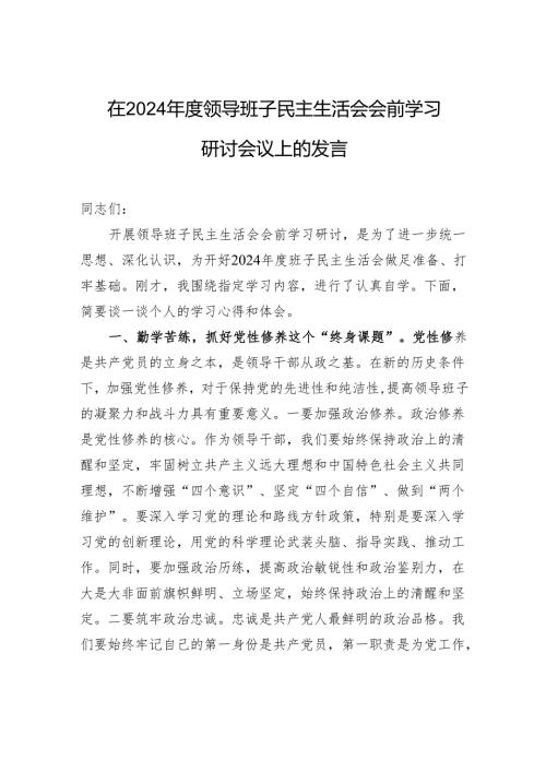 在2024年度领导班子民主生活会会前学习研讨会议上的发言.docx