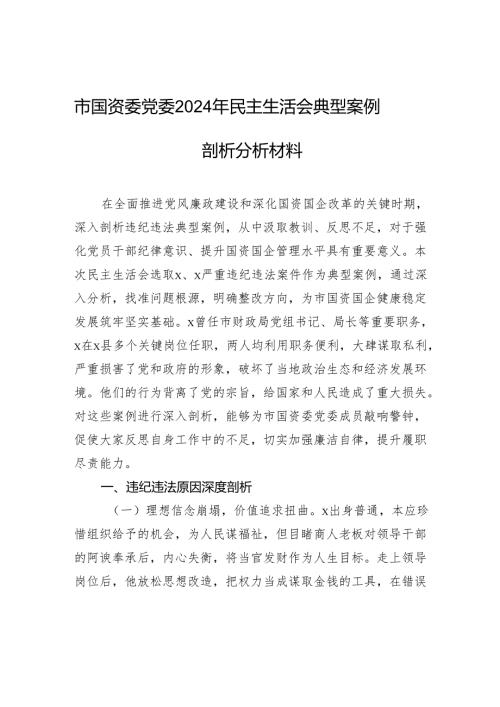 国资委党委2024年度民主生活检查典型案例剖析分析材料.docx