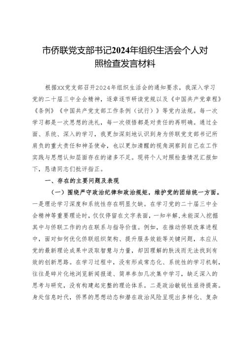 市侨联党支部书记2024年组织生活会个人对照检查发言材料.docx