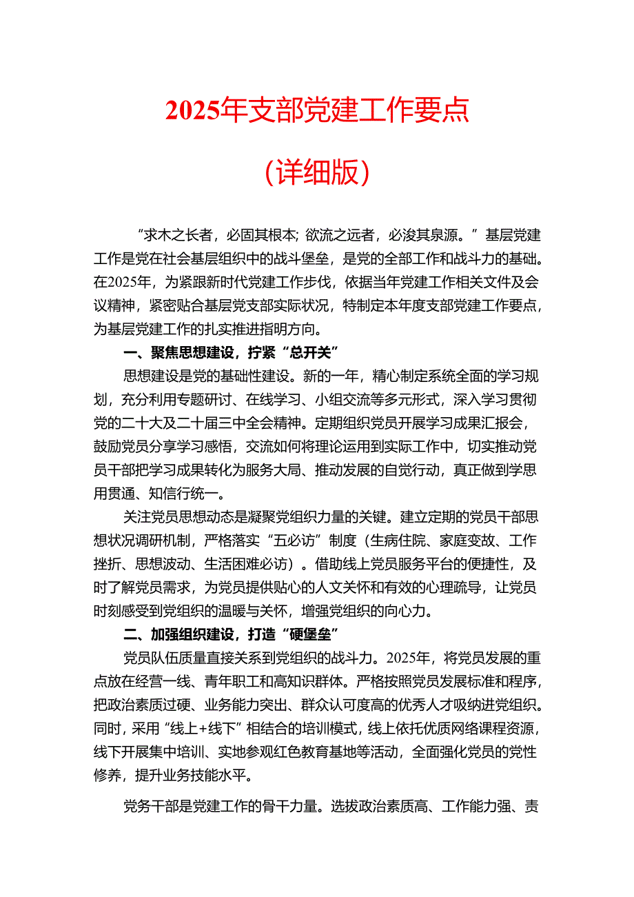 2025年支部党建工作要点（详细版）.docx_第1页