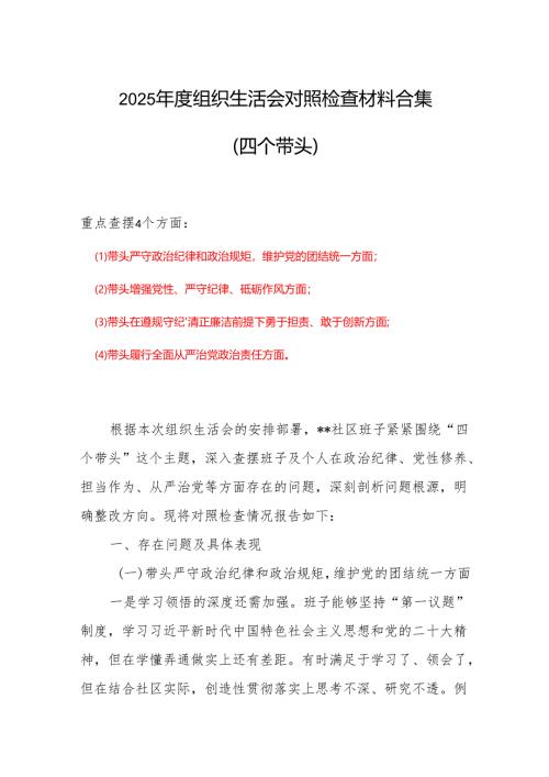 党员2024-2025组织生活会个人对照检查发言.docx