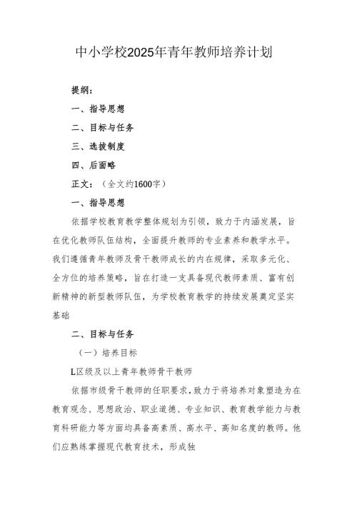 青年教师培养计划.docx