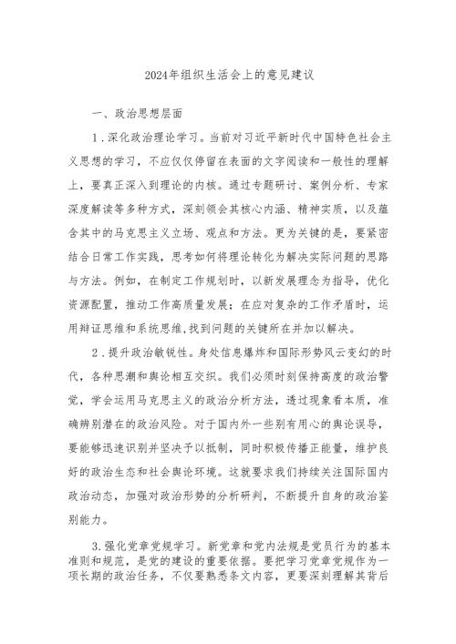 2024年组织生活会上的意见建议.docx