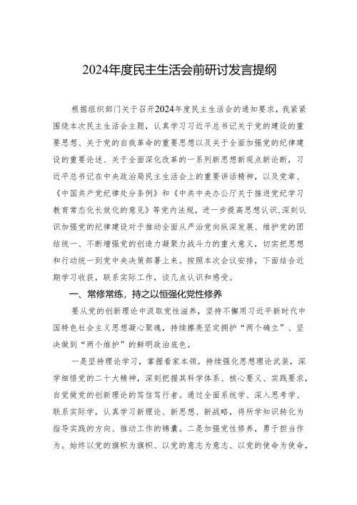 2024年度民主生活会前研讨发言提纲.docx