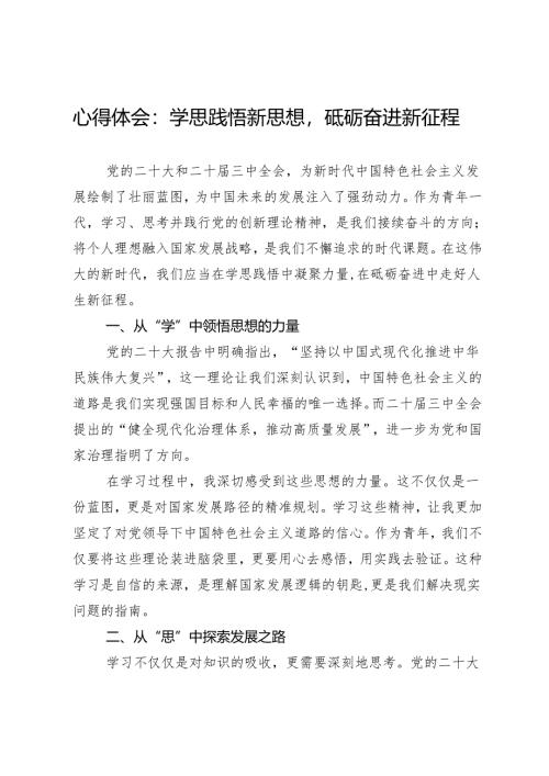 心得体会：学思践悟新思想砥砺奋进新征程.docx