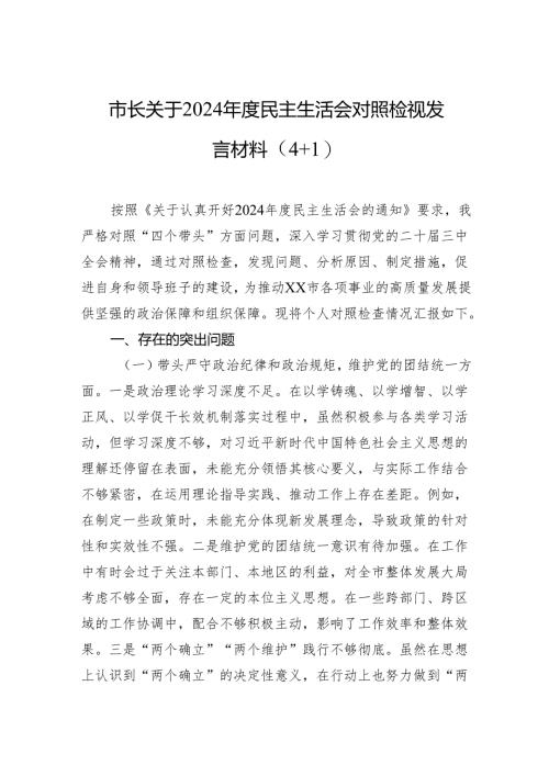 市长关于2024年度民主生活会对照检视发言材料（4＋1）.docx