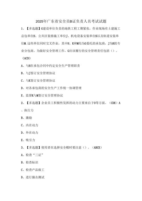 2025年广东省安全员B证负责人名考试试题.docx