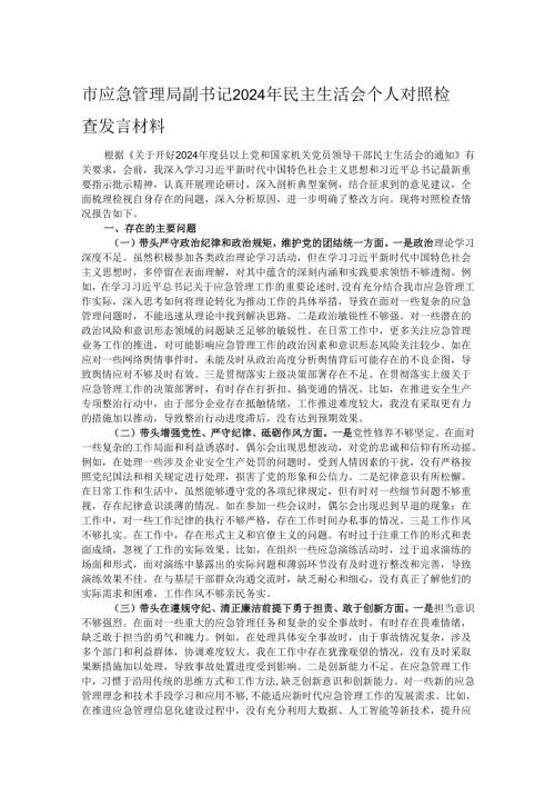 市应急管理局副书记2024年民主生活会个人对照检查发言材料.docx