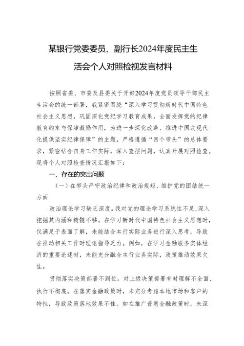 某银行党委委员、副行长2024年度民主生活会个人对照检视发言材料.docx