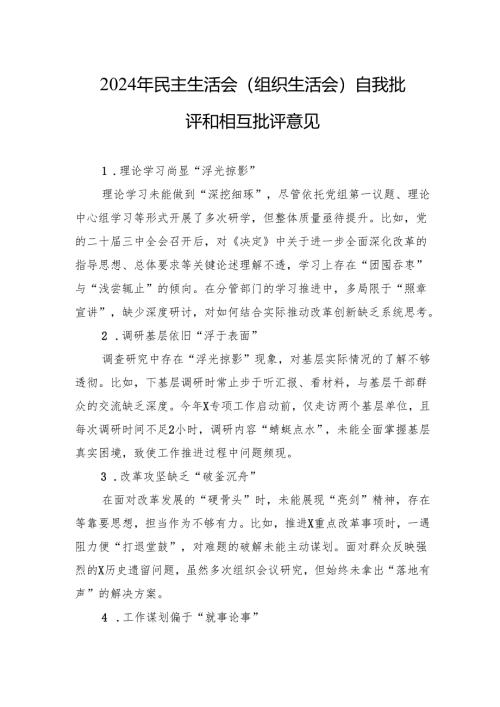 2024年民主生活会（组织生活会）自我批评和相互批评意见.docx