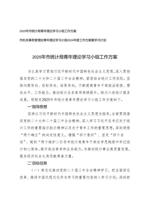 2025年市统计局青年理论学习小组工作方案+理论学习小组2024年度工作方案暨学习计划.docx