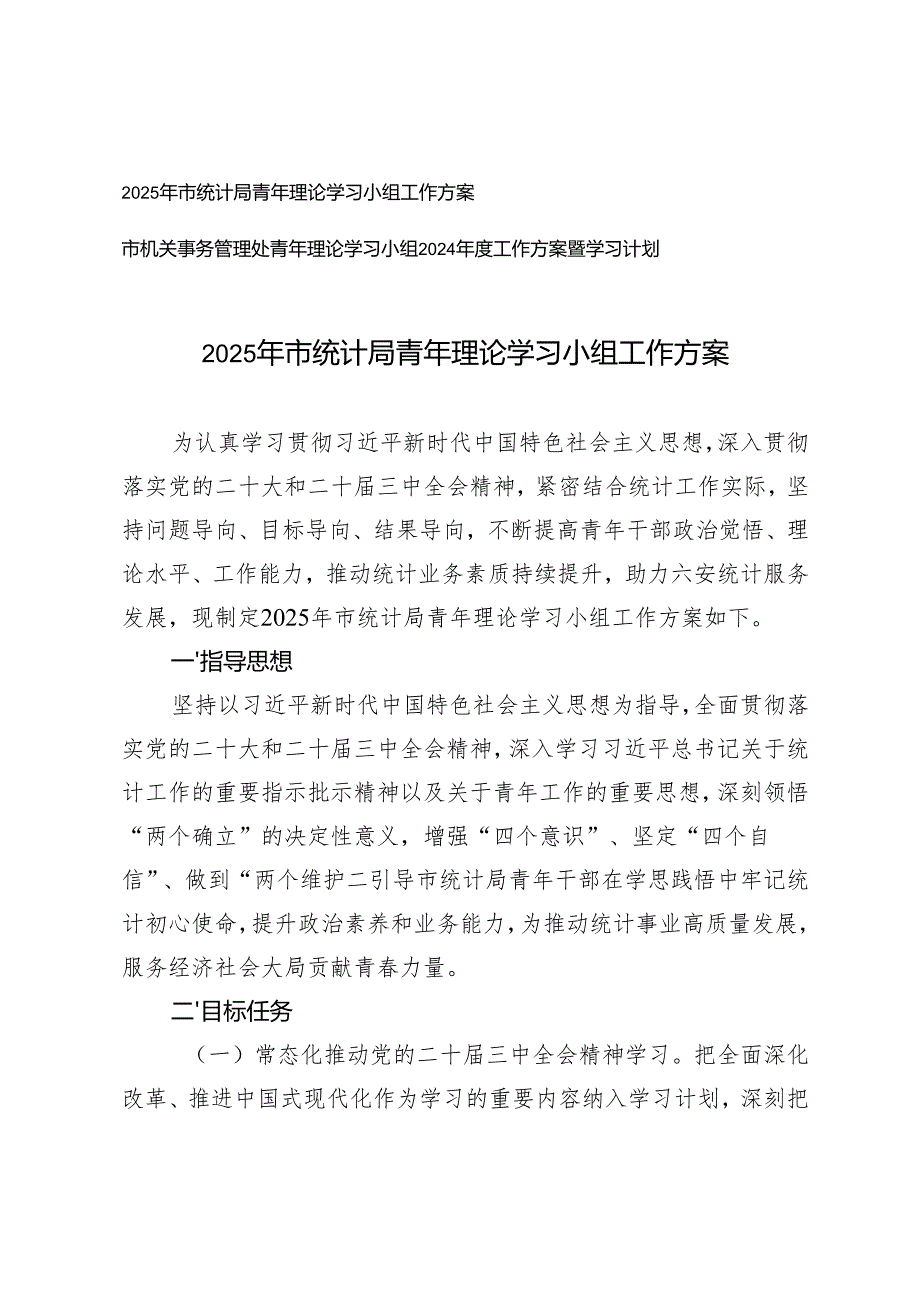 2025年市统计局青年理论学习小组工作方案+理论学习小组2024年度工作方案暨学习计划.docx_第1页