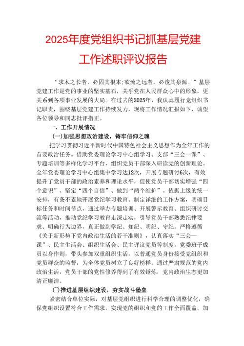2025年度党组织书记抓基层党建工作述职评议报告.docx