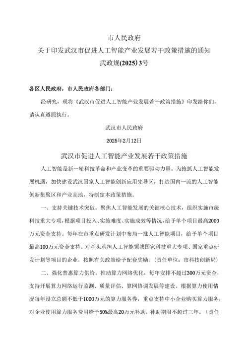 武汉市促进人工智能产业发展若干政策措施（2025年）.docx