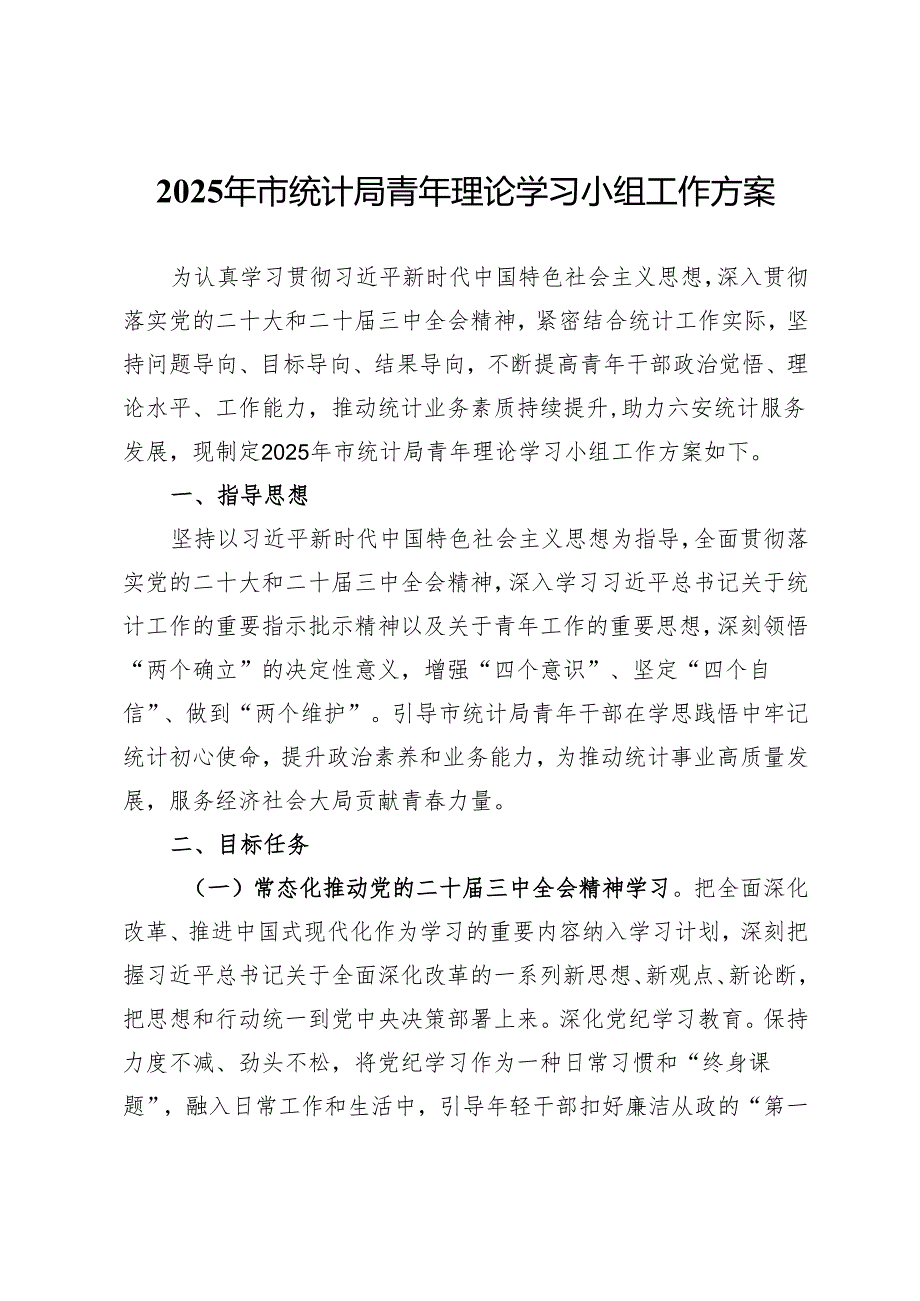 2025年市统计局青年理论学习小组工作方案.docx_第1页