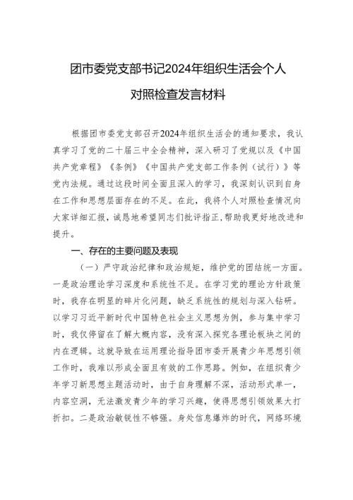 团市委党支部书记2024年度组织生活个人检查发言材料.docx