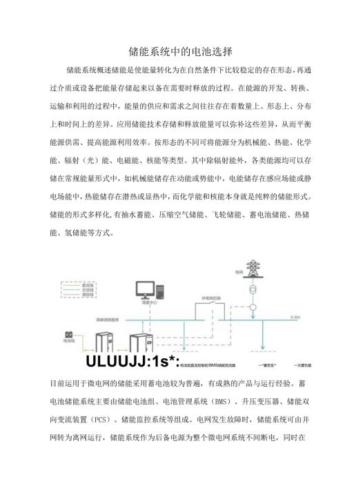 储能系统中的电池选择.docx