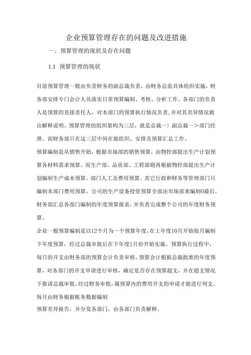 企业预算管理存在的问题及改进措施.docx