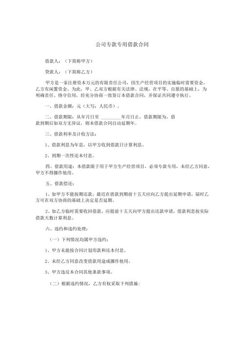 公司专款专用借款合同.docx