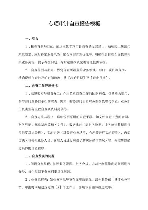 专项审计自查报告模板.docx
