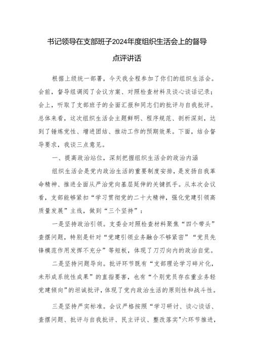 书记领导在支部班子2024年度组织生活会上的督导点评讲话.docx